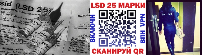 дарнет шоп  Волгореченск  ЛСД экстази кислота 