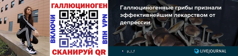 Псилоцибиновые грибы Psilocybe  Волгореченск 